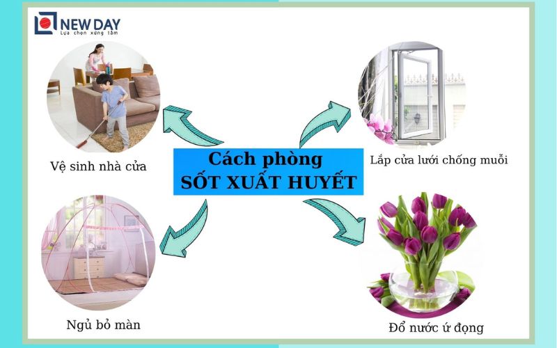 cua-luoi-chong-muoi-phong-sot-xuat-huyet